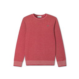 吉犬旺新禧，Lacoste針織相伴迎新春